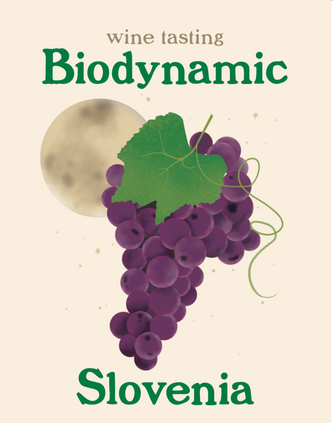 Slovenian Biodynamic Wine Tasting @ Fabus, Amsterdam
